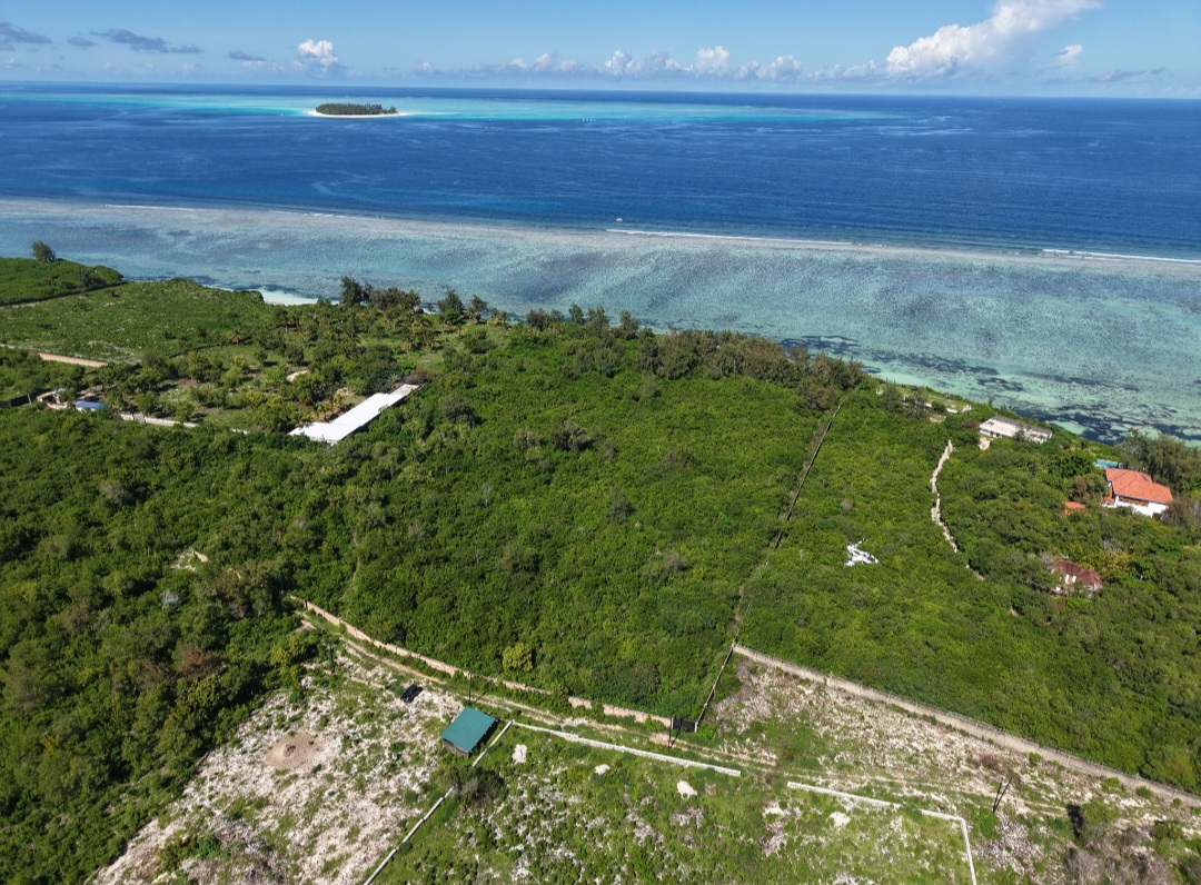 Prime Cliffside Oceanfront Land in Matemwe with Mnemba Views