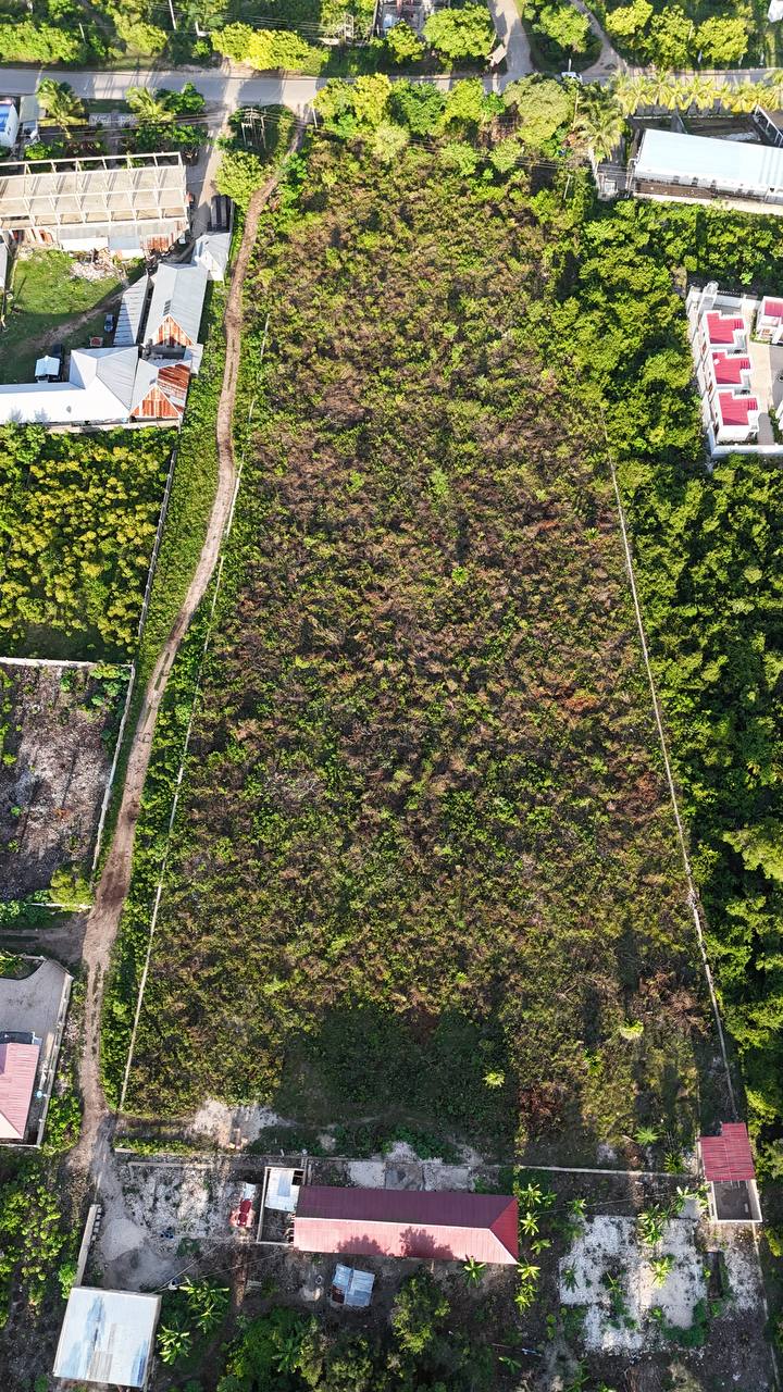 Roadside Plot For Sale