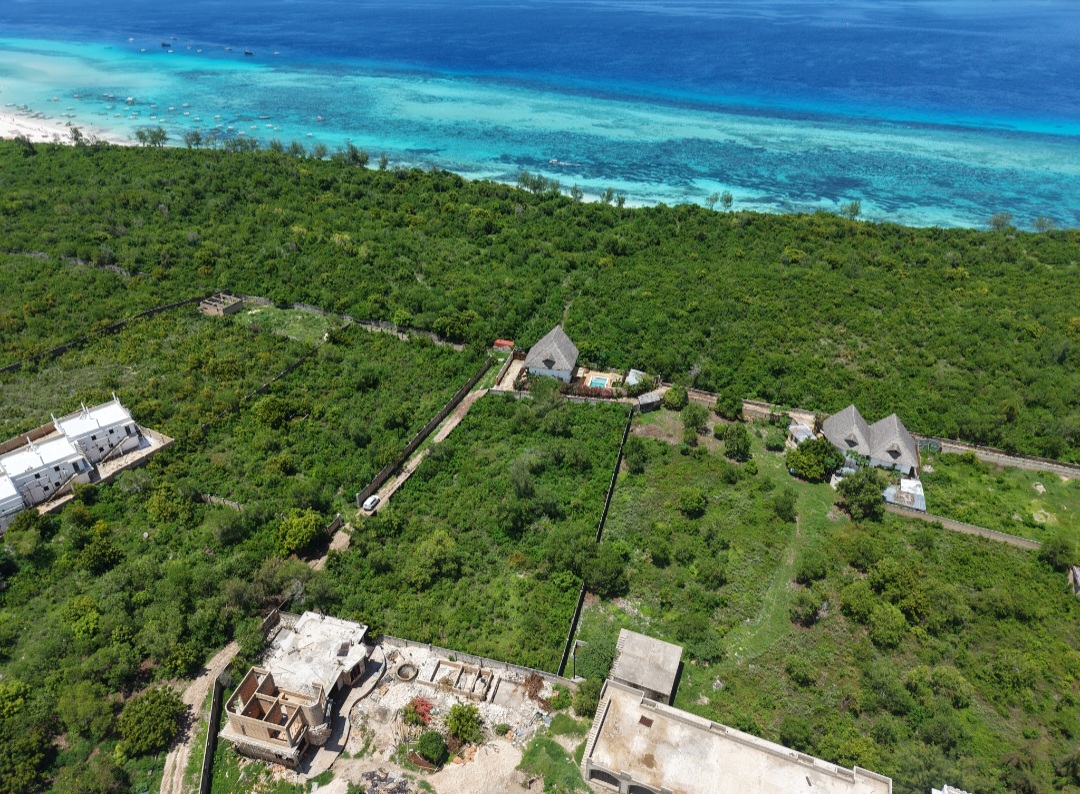 Spacious 4,000 sqm Plot Near Mora Hotel, Matemwe